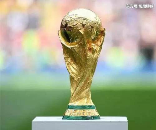 中国或将申办2030年世界杯 网友：国足终于能进正赛了！